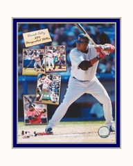 Boston Red Sox Photo Double Matted